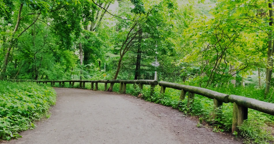 Unforgettable Midwest Adventure: Exploring Pittsburgh, St. Louis, and Indianapolis in 4 Days